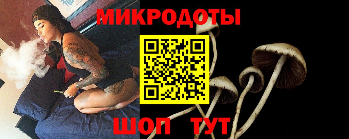 Псилоцибиновые грибы мицелий Людиново