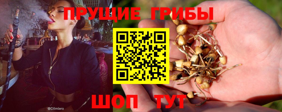 Галлюциногенные грибы MAGIC MUSHROOMS  Вход с VPN  Людиново 